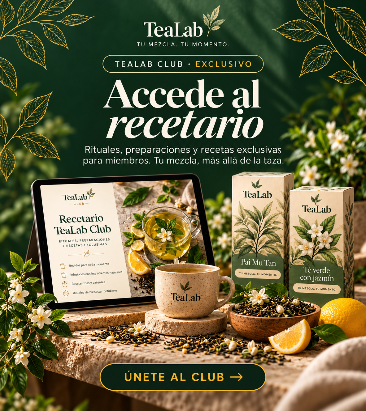 Accede al recetario de Tea Lab Club: rituales, preparaciones y recetas exclusivas para miembros.
